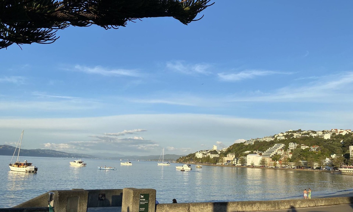 Oriental Bay House | Beach house in Oriental Parade
