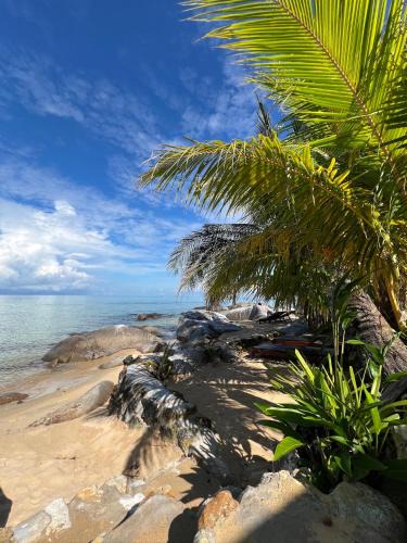 Tioman Island House | Beach House