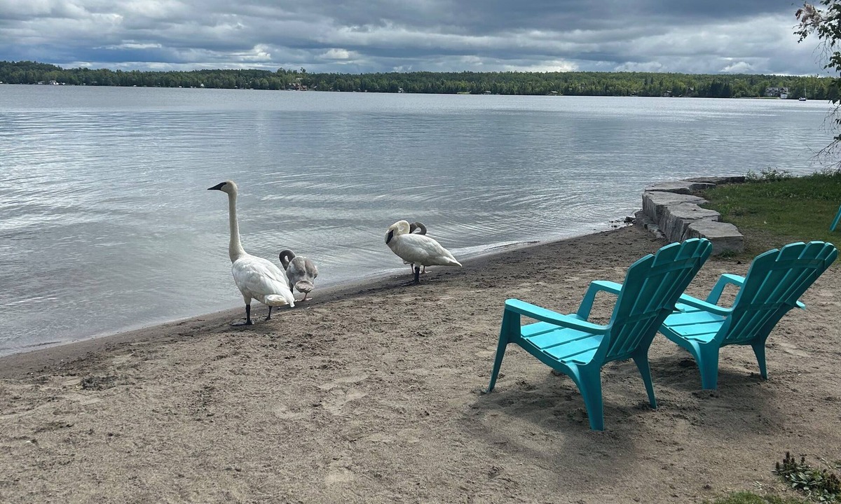 Isaacs Glen Cabin | Beach Life