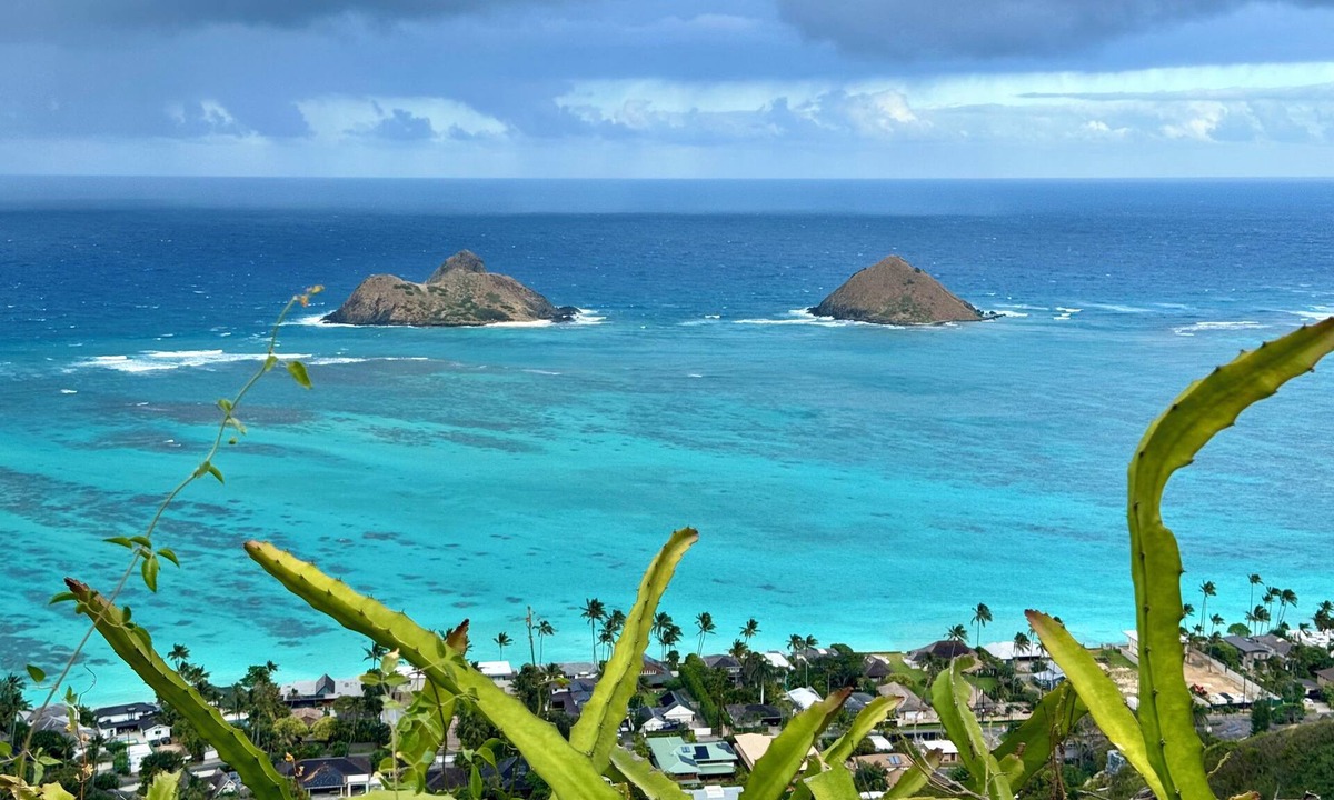 Lanikai House | Beach Studio with private yard in Lanikai - 30 day Minimum Stay