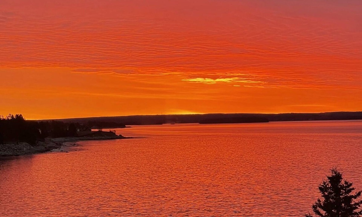 Queensland Cottage | Beach view suites