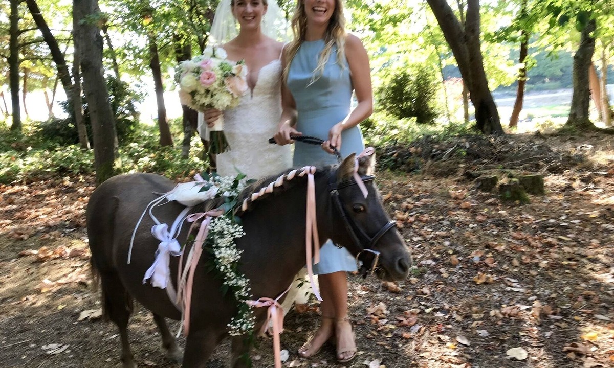 Vashon Island House | Beachfront 1-bedroom vacation home on Vashon Island