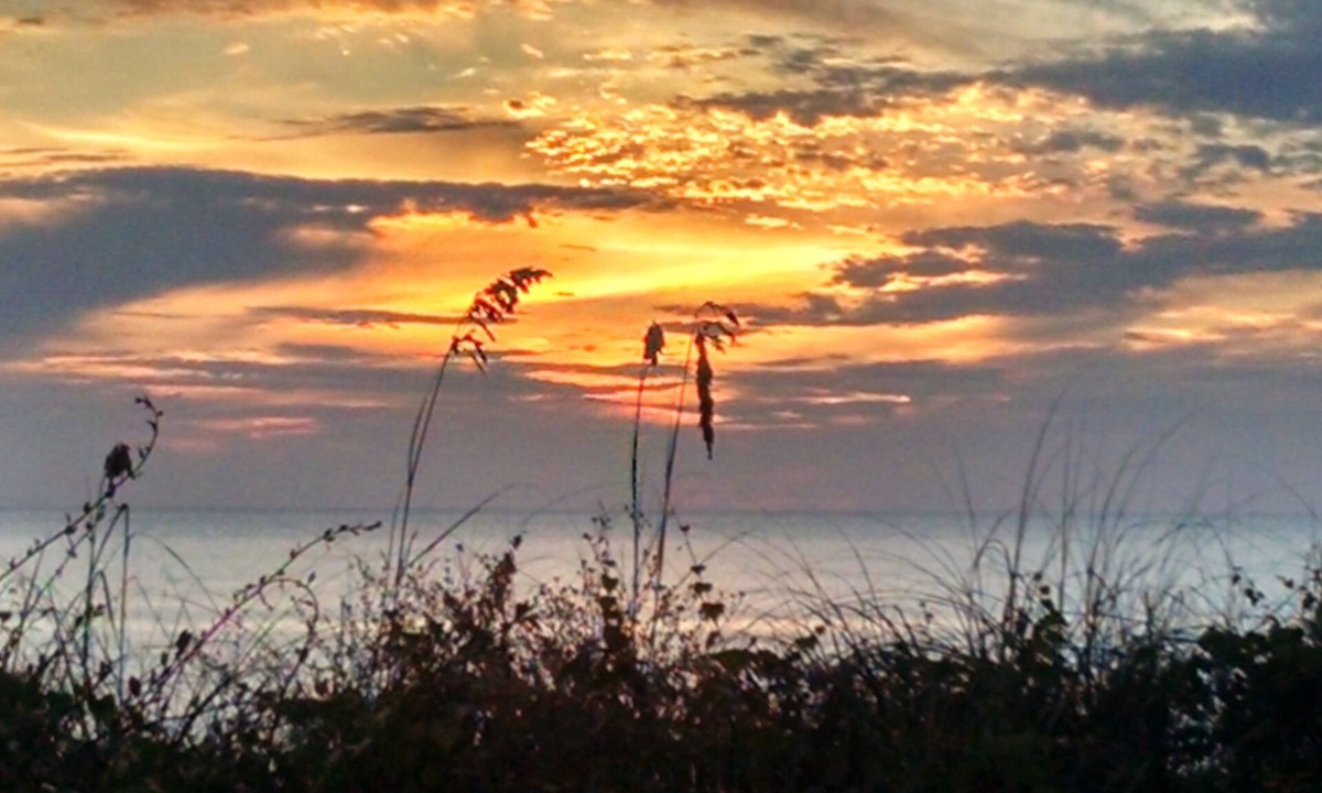 Port St. Joe House | BEACHFRONT 3 BR/3.5 bath townhome, steps to the beach! Dogs OK