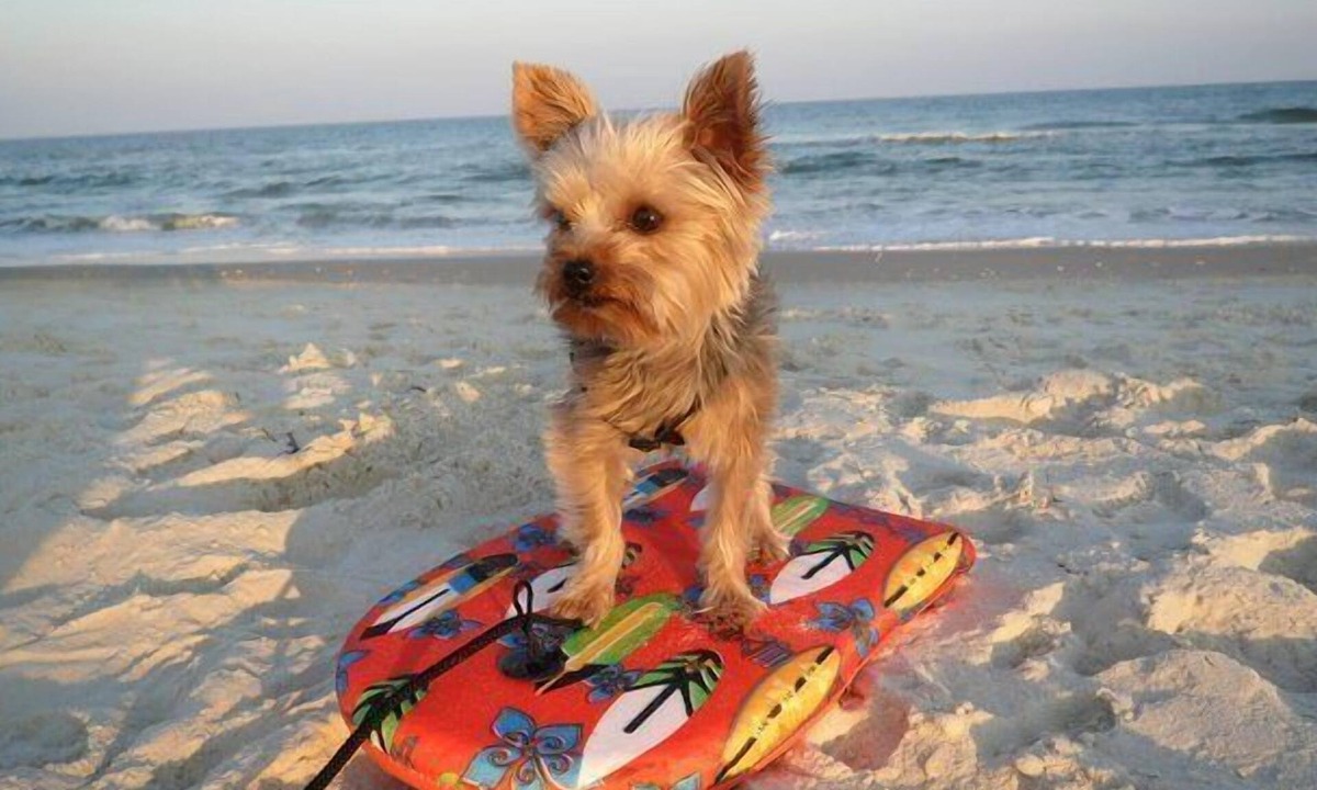 Panama City Beach Condo | BEACHFRONT GRAND PANAMA, 1ST FLR DIRECT to BEACH/HEATED POOLS/SMART TV/FREE WIFI