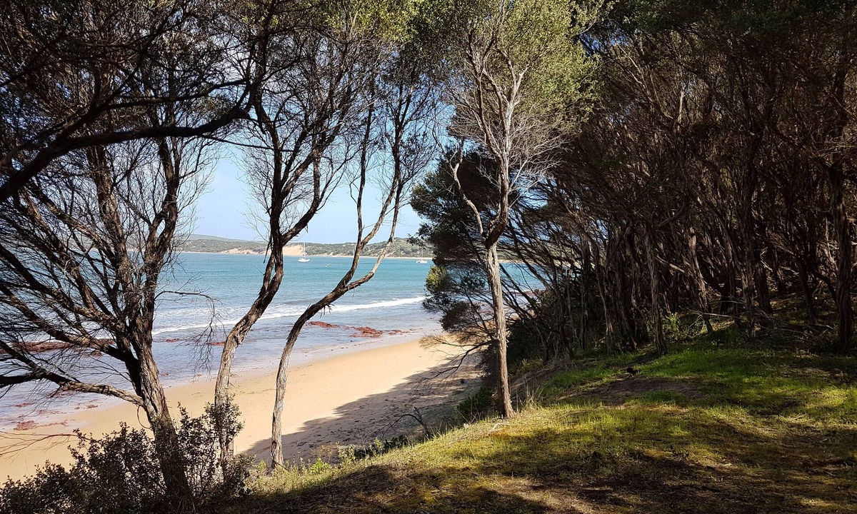 Powlett River House | Beachfront House with Water Views