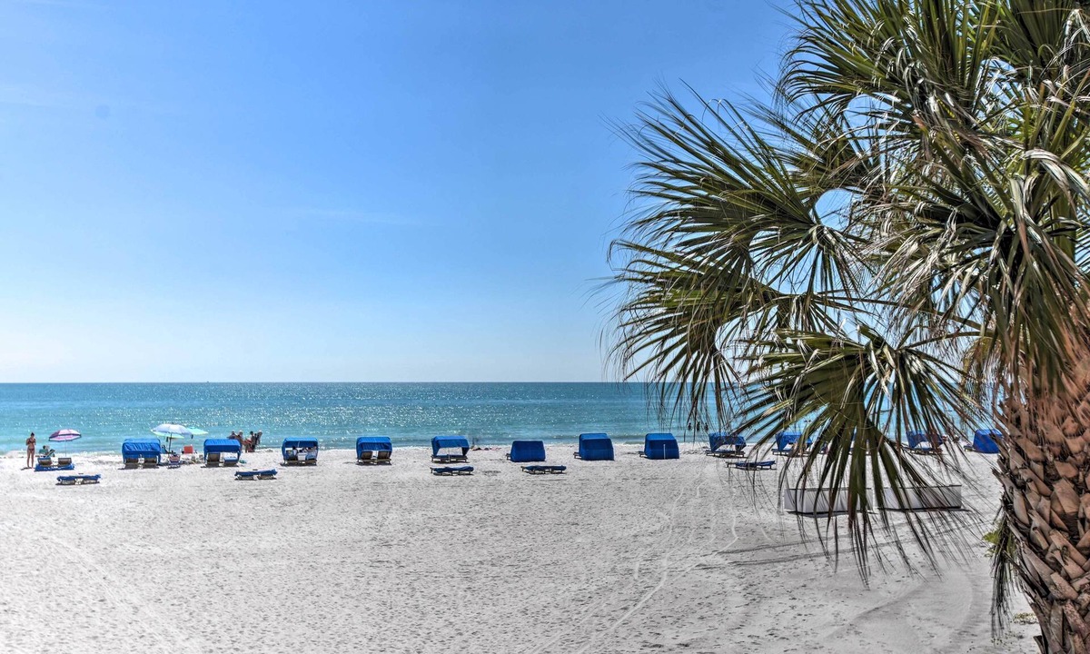 Indian Shores Apartment | Beachfront Indian Shores Vacation Rental Condo