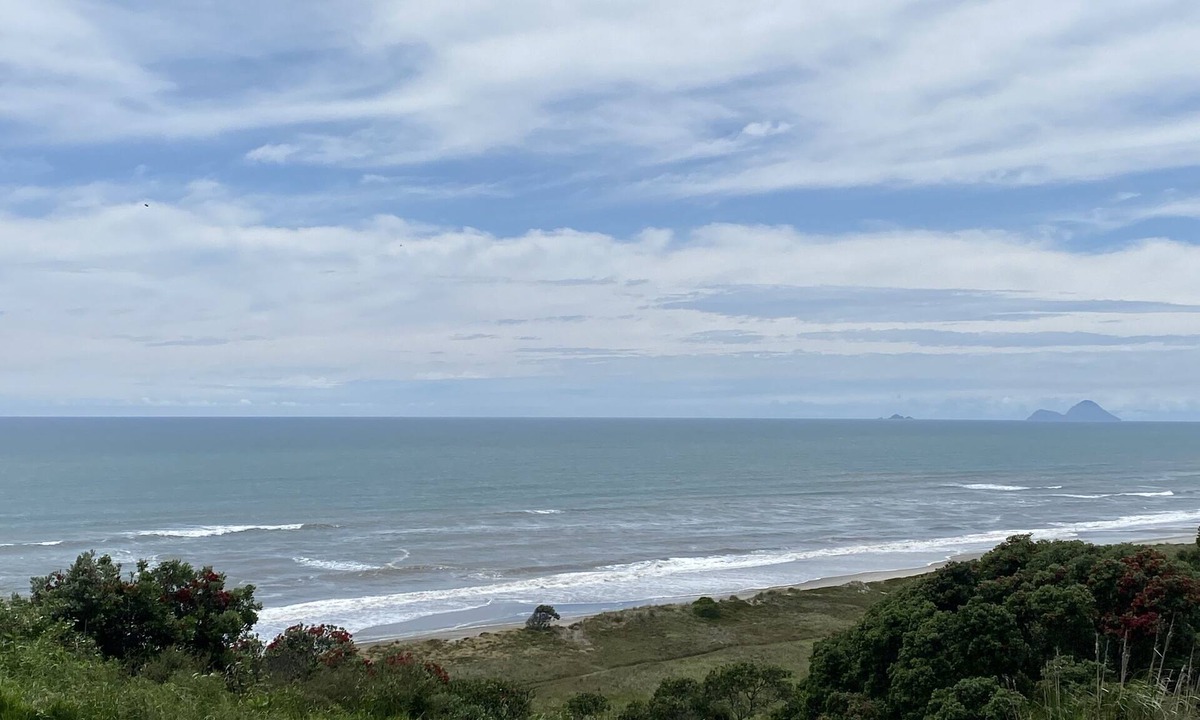 Bay of Plenty Region Apartment | Beachfront Pacific - Rustic Coastal - Guest Suite.