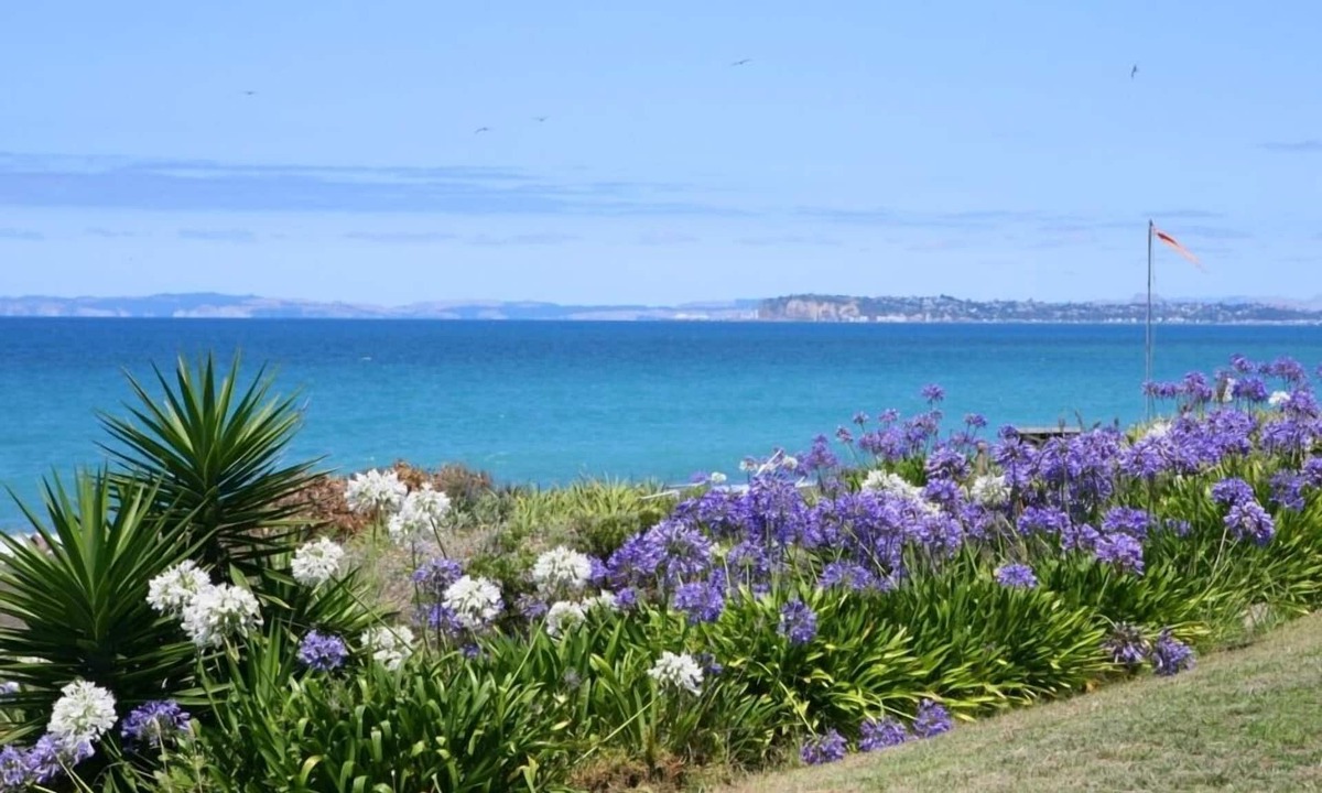 Eskdale House | Beachfront, rustic, sunny 3 bdrm house, with birdlife.