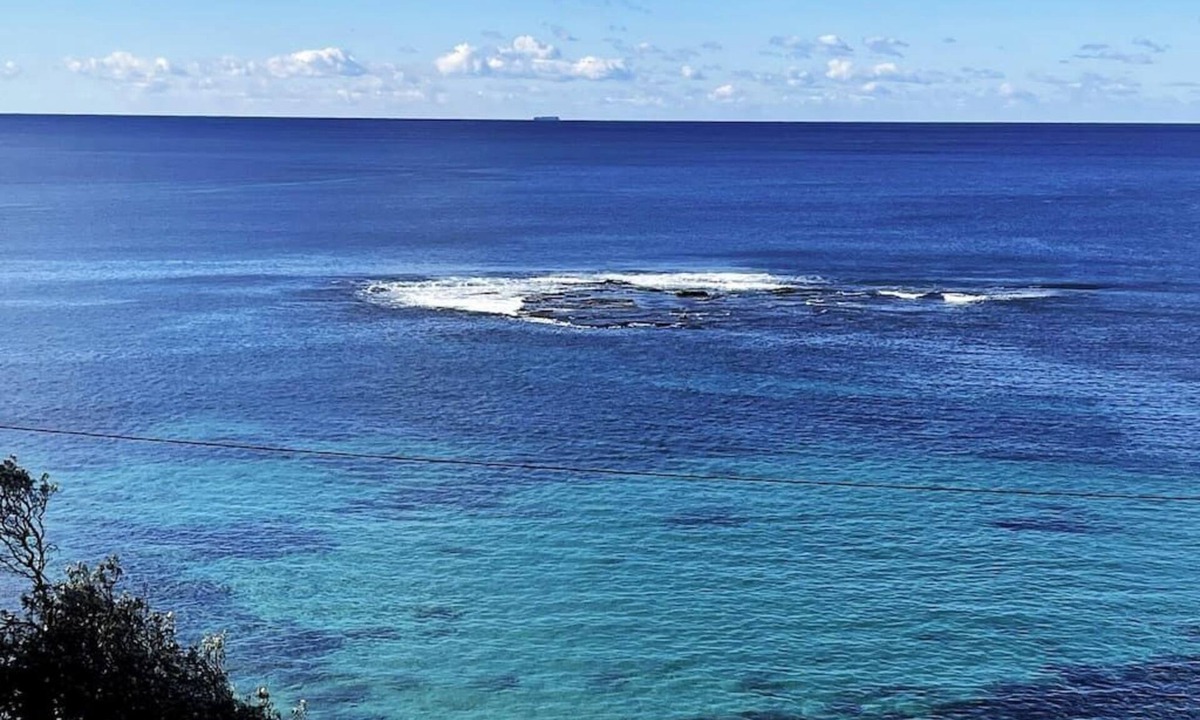 Cronulla Apartment | Beachside Apartment @Blackwoods Beach