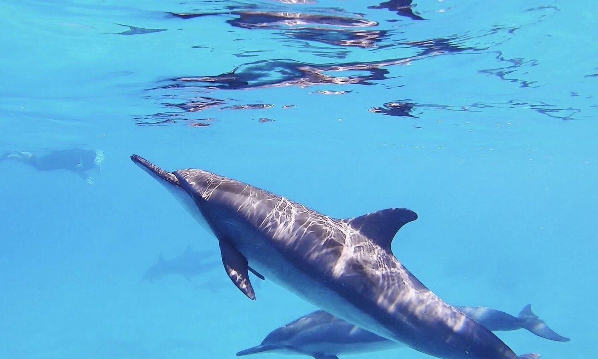 Waianae House | Beachy Boho Abode
