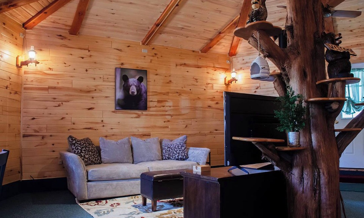 Cortez Cabin | Bear Necessities Cabin, Mesa Verde Getaway