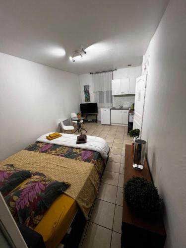 Fleurance Apartment | Beau studio