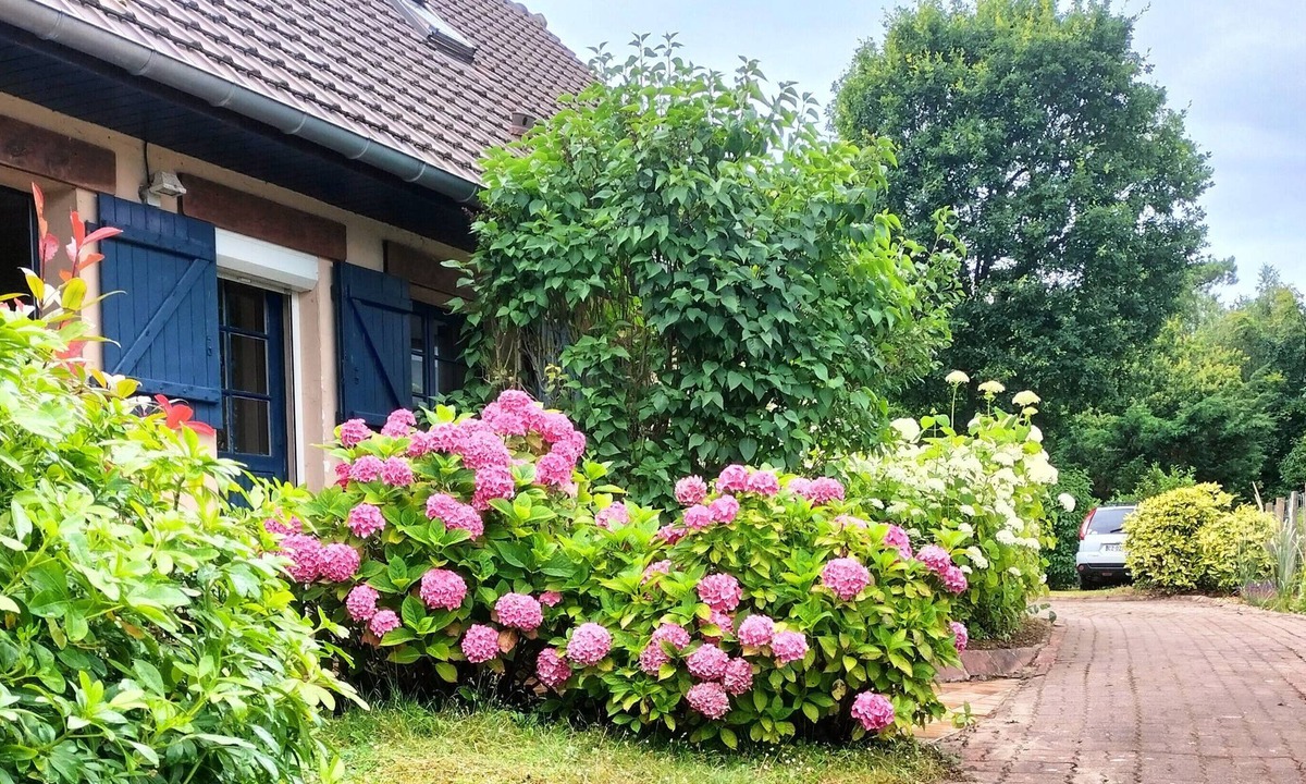 Le Touquet-Paris-Plage House | Beautiful villa touquettoise near the golf