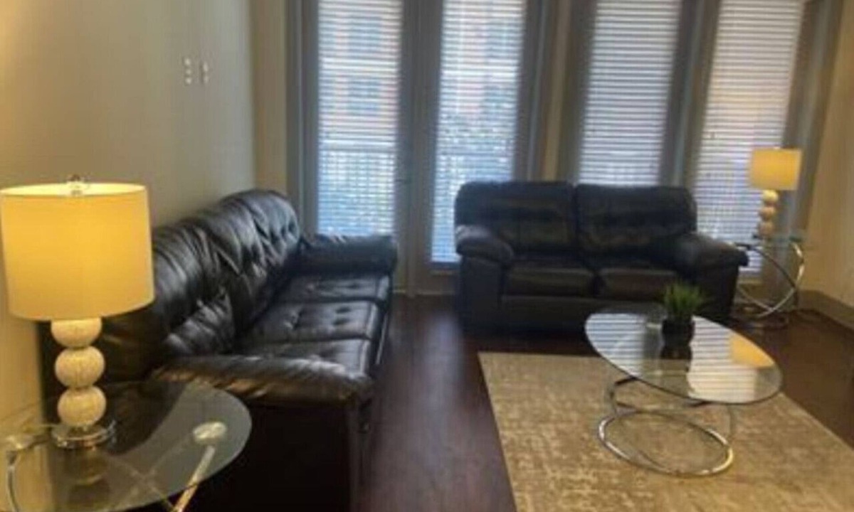 Astrodome Apartment | Beautiful 2 Bedroom/2 Bath Apartment in Houston by NRG Stadium