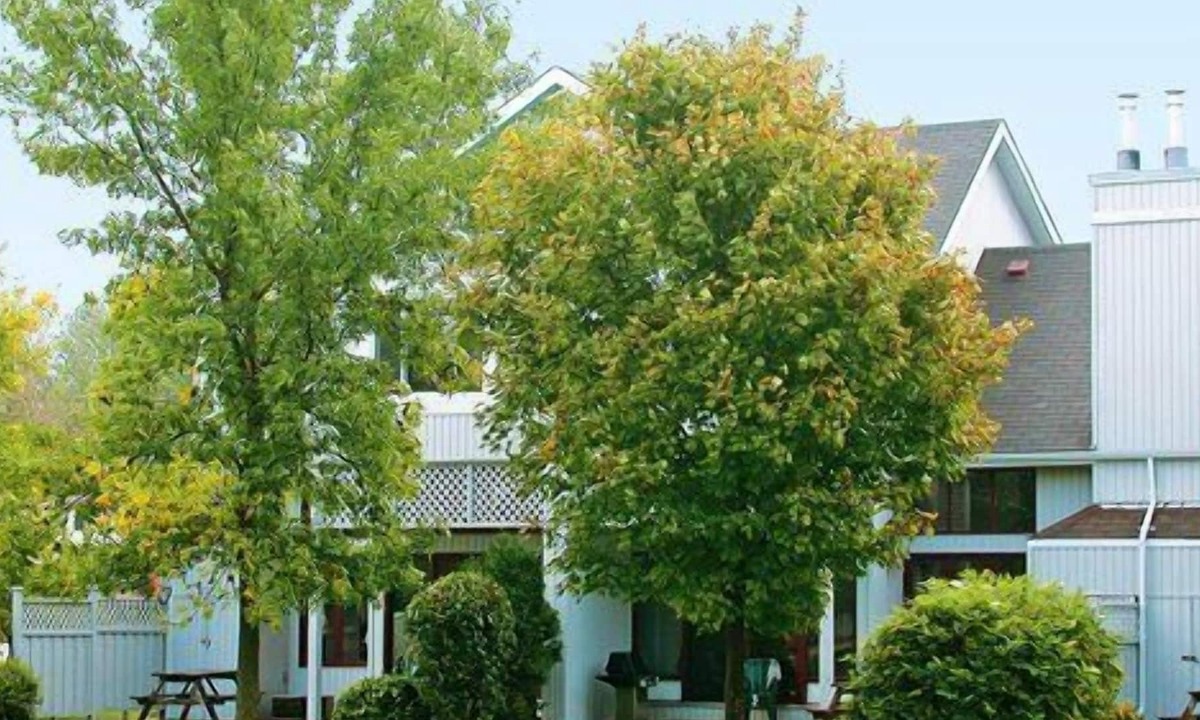 Collingwood Apartment | Beautiful 2 bedroom unit at resort, sleeps 6