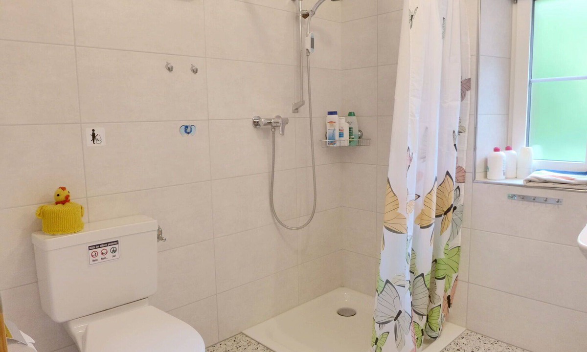 Brienzwiler Apartment | Beautiful apartment for 4 people with WIFI, TV, terrace, pets allowed and panoramic view