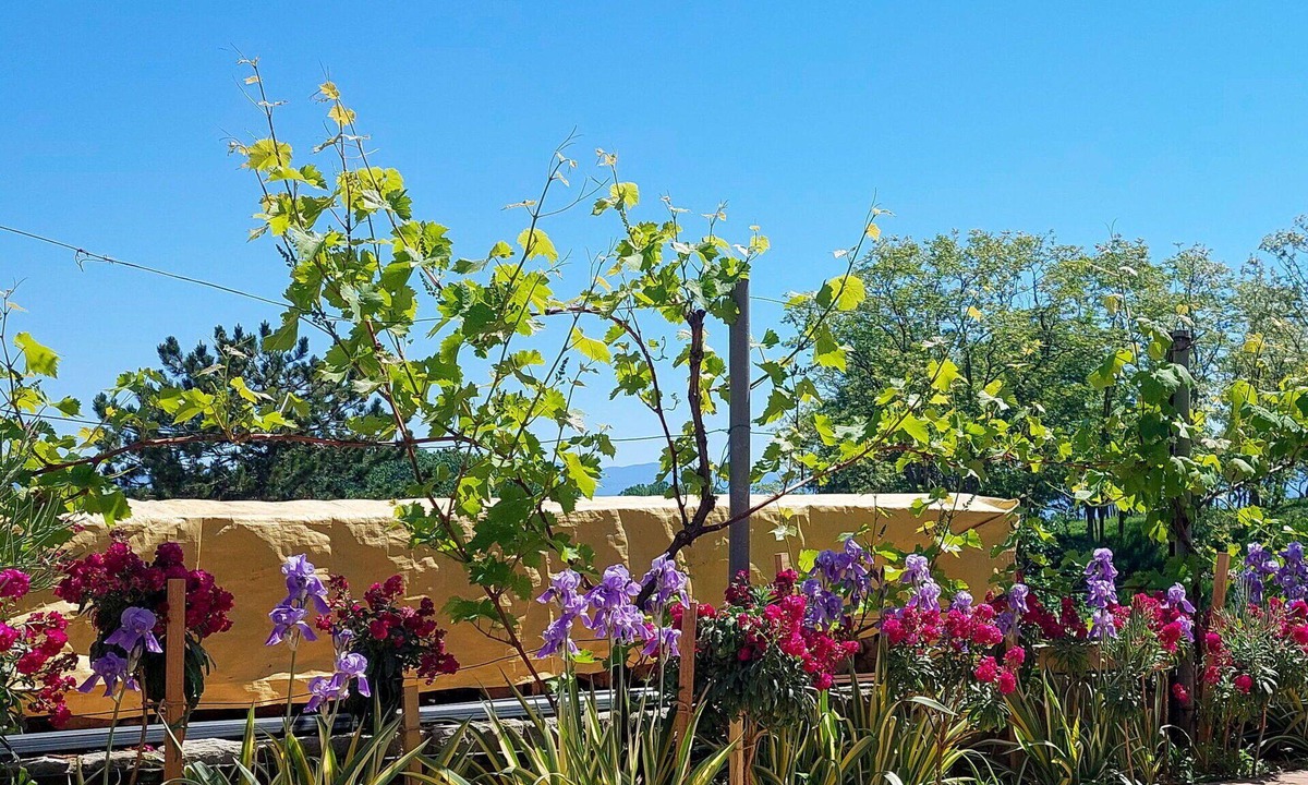 Batomalj Apartment | Beautiful apartment for 2 people with A/C, WIFI, TV, patio, pets allowed and panoramic view