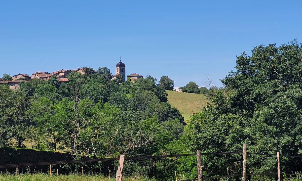 Meximieux Apartment | Beautiful apartment with terrace, facing Pérouges, quiet, close to center