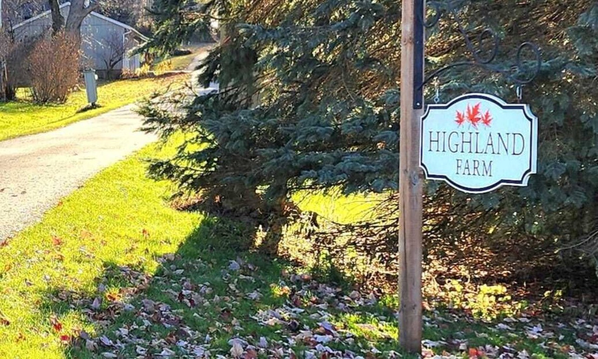 Erin House | Beautiful Century Home close to Erin Estates Venue