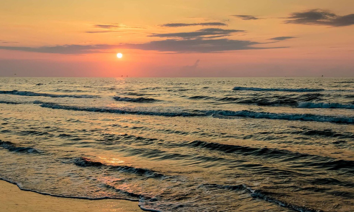 El Centro Beach Apartment | Beautiful condo located on the beach - close to attractions, pool & Hot tub