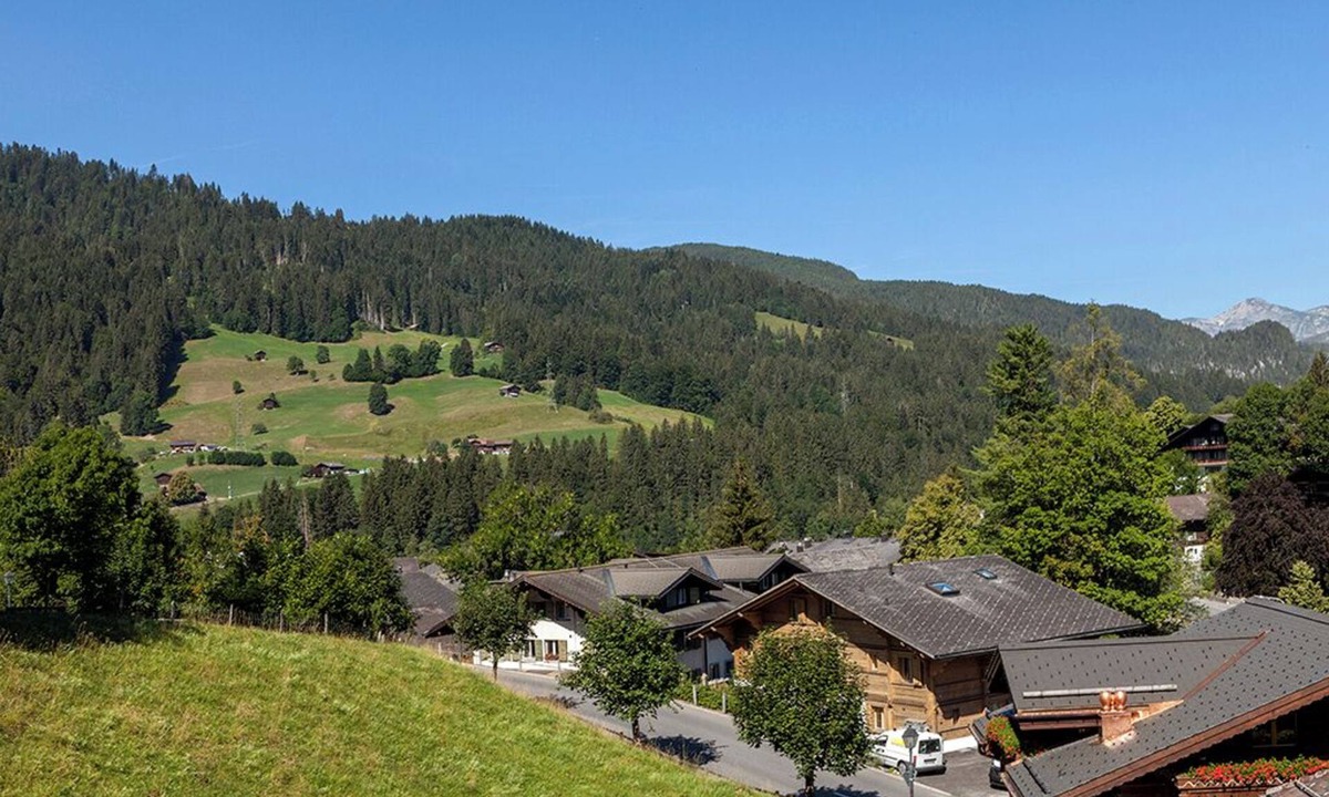 Gstaad Apartment | BEAUTIFUL COZY APARTMENT IN GSTAAD