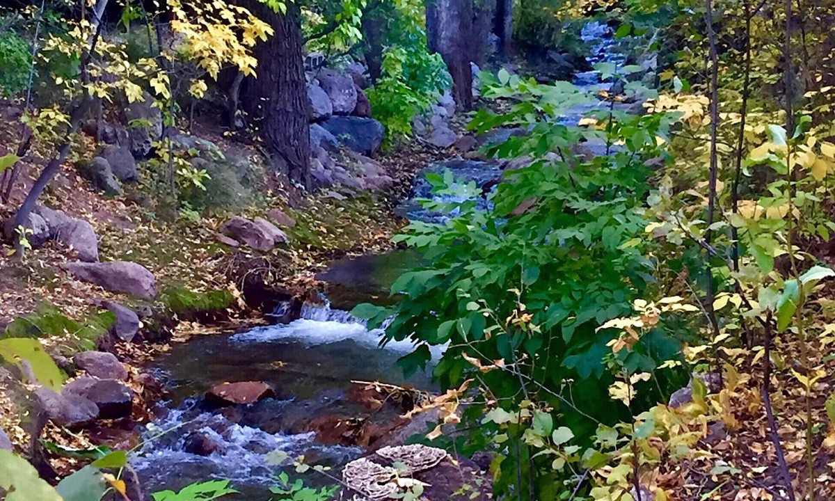 Broadmoor Cabin | Beautiful deck DIRECTLY on CREEK! CENTRAL AIR Walk to the Broadmoor