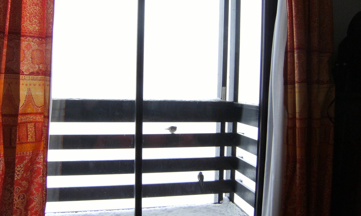 Pla d'Adet Apartment | Beautiful DUPLEX (48m2) Balcony, Superb valley view, 100m Ski slopes, classified 2 *
