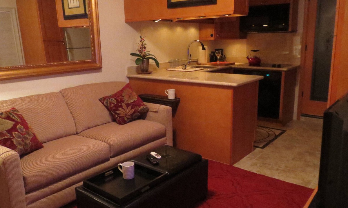 Columbia Apartment | Beautiful Efficiency: full size kitchen, pet & 420 friendly, walk to everything