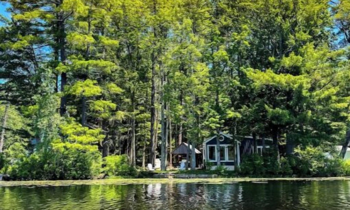 Orange House | Beautiful Fall Foliage Waterfront Fire Pit