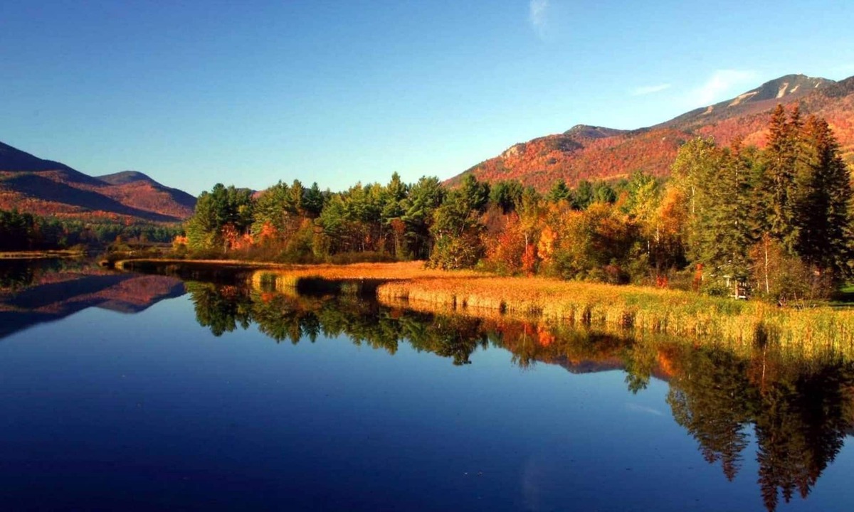 North Creek House | BEAUTIFUL HOME CLOSE TO GORE MOUNTAIN!