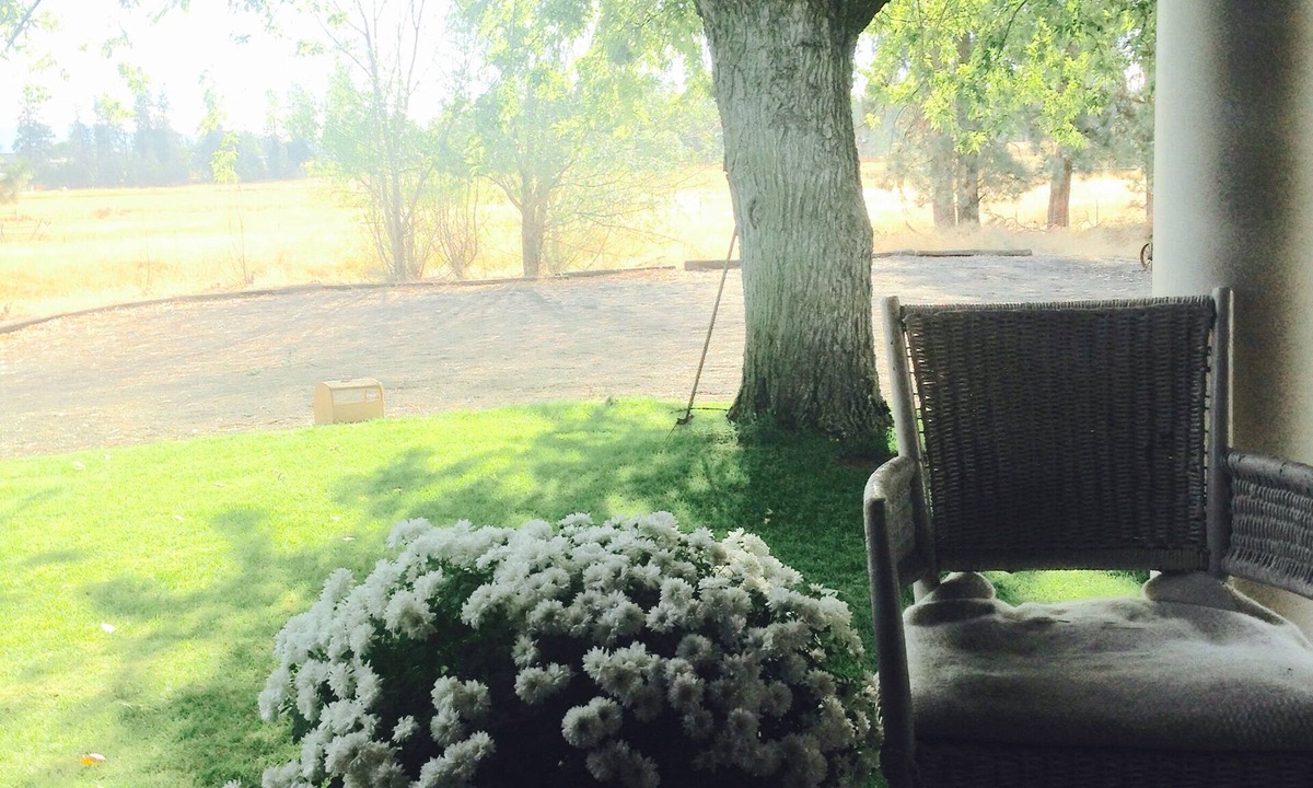 Thorpe Westwood Other | Beautiful home with a fantastic pool !