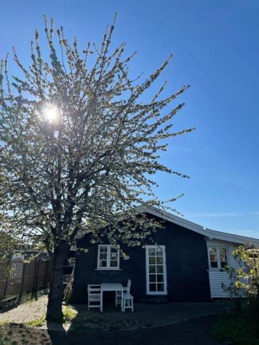 Hvidovre Municipality House | Beautiful House, just a few km from the vibrant center of Copenhagen