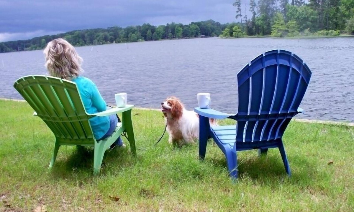 Negreet House | Beautiful House On The Lake