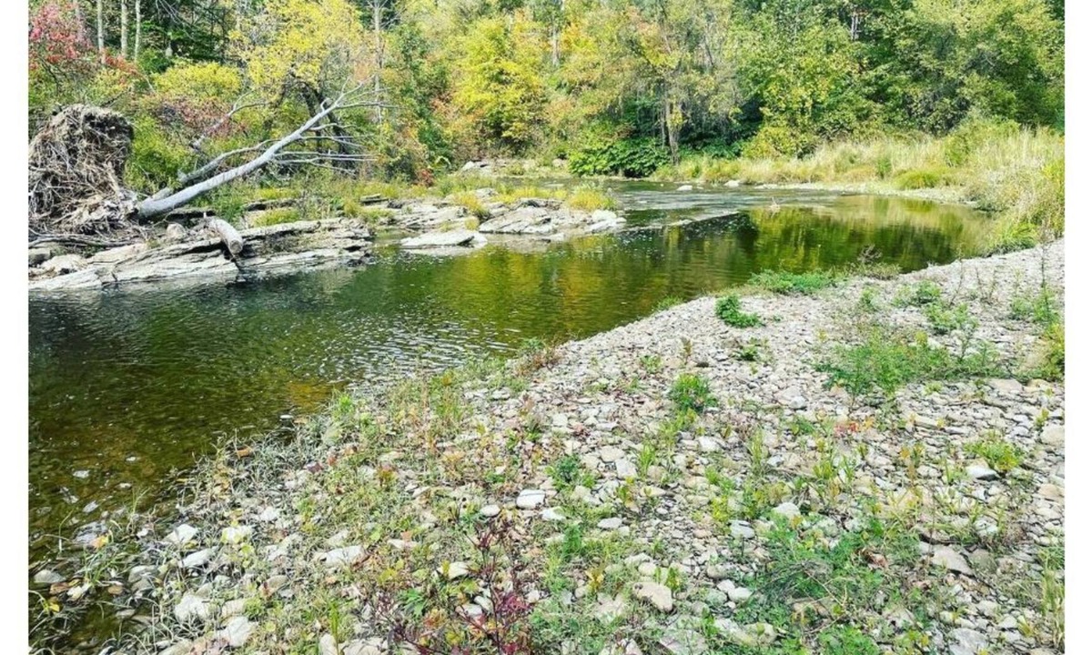 Angelica Cabin | Beautiful Hunter Log Cabin on 5 Acre Lot