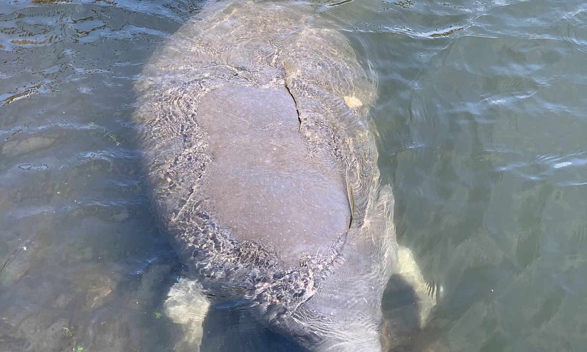 Crystal River House | Beautiful Indian Lake with canal leading to Crystal River and the Ocean.