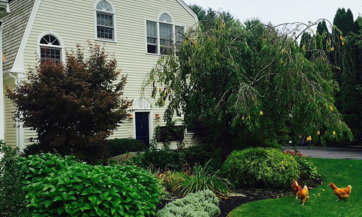 Rye Apartment | Beautiful light filled apartment -rarely available!