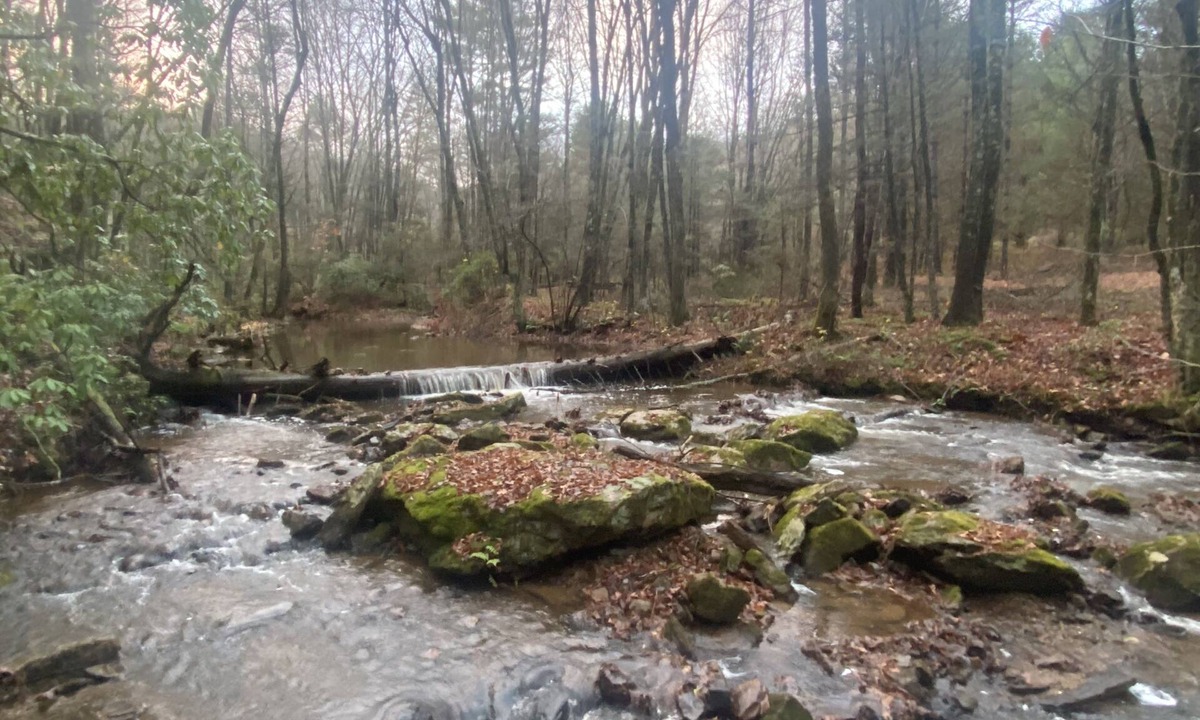 Montebello Cabin | Beautiful new cabins mile off Blue Ridge Parkway in Montebello, VA