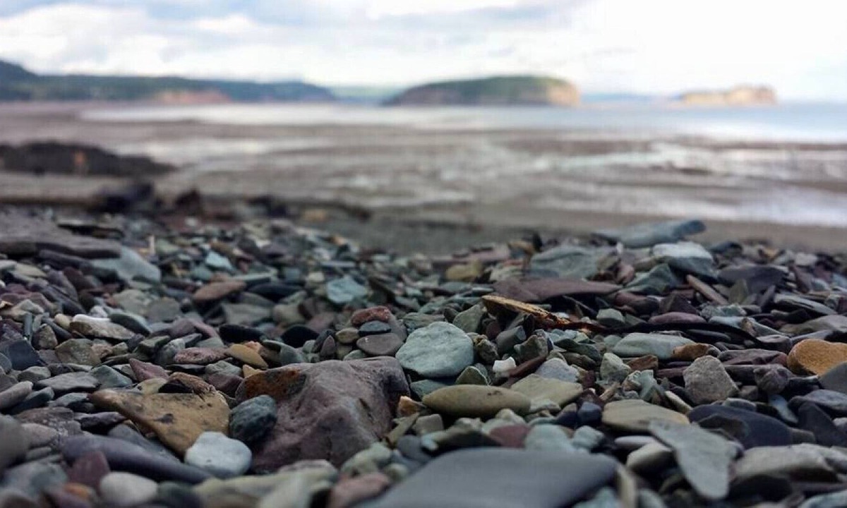 Parrsboro Cottage | Beautiful Ocean View Cottage