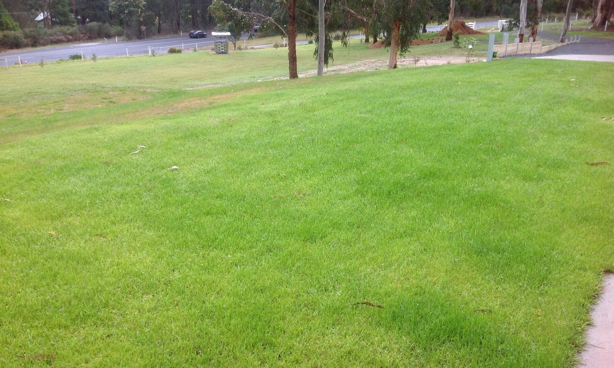 Mirboo North House | Beautiful setting in bushland