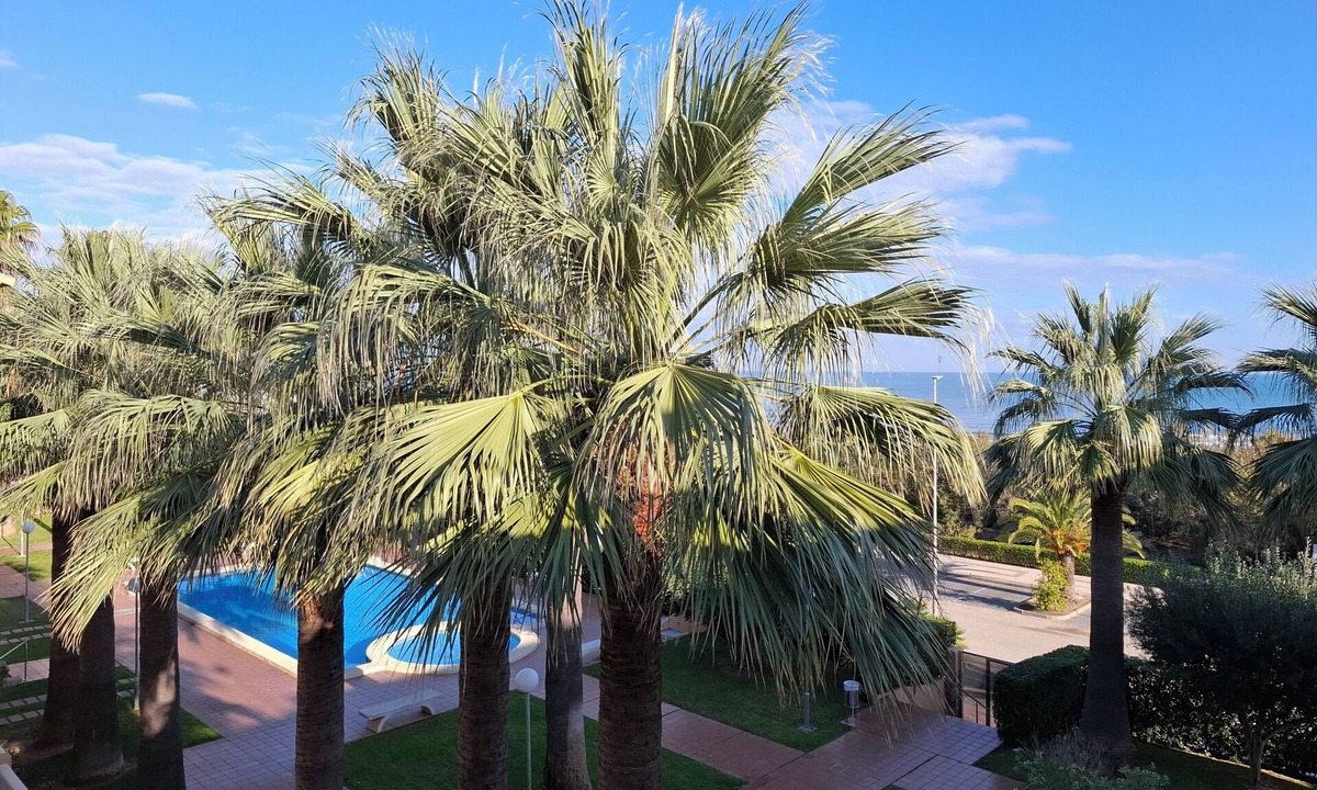 Piles Apartment | Beautiful Stella apartment in 1st line on the sea with swimming pool, palm tree