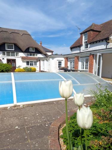 Chichester House | Beautiful Thatched Cottage with Outdoor Pool, Secure Garden, Dog & Family Friendly! Chichester Holiday Properties