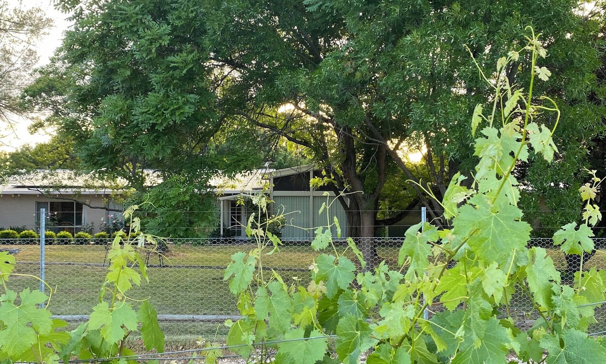 Eurunderee House | Beautiful Vineyard Accommodation