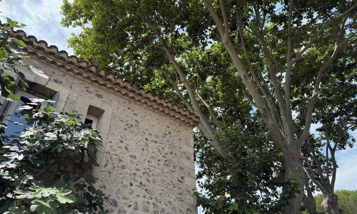 Usclas-d'Herault House | Beautifully restored stone house with chic studio in Languedoc