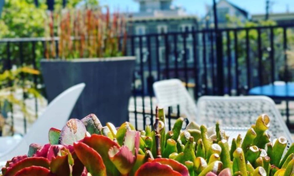 Duboce Triangle Hotel | Becks Motor Lodge