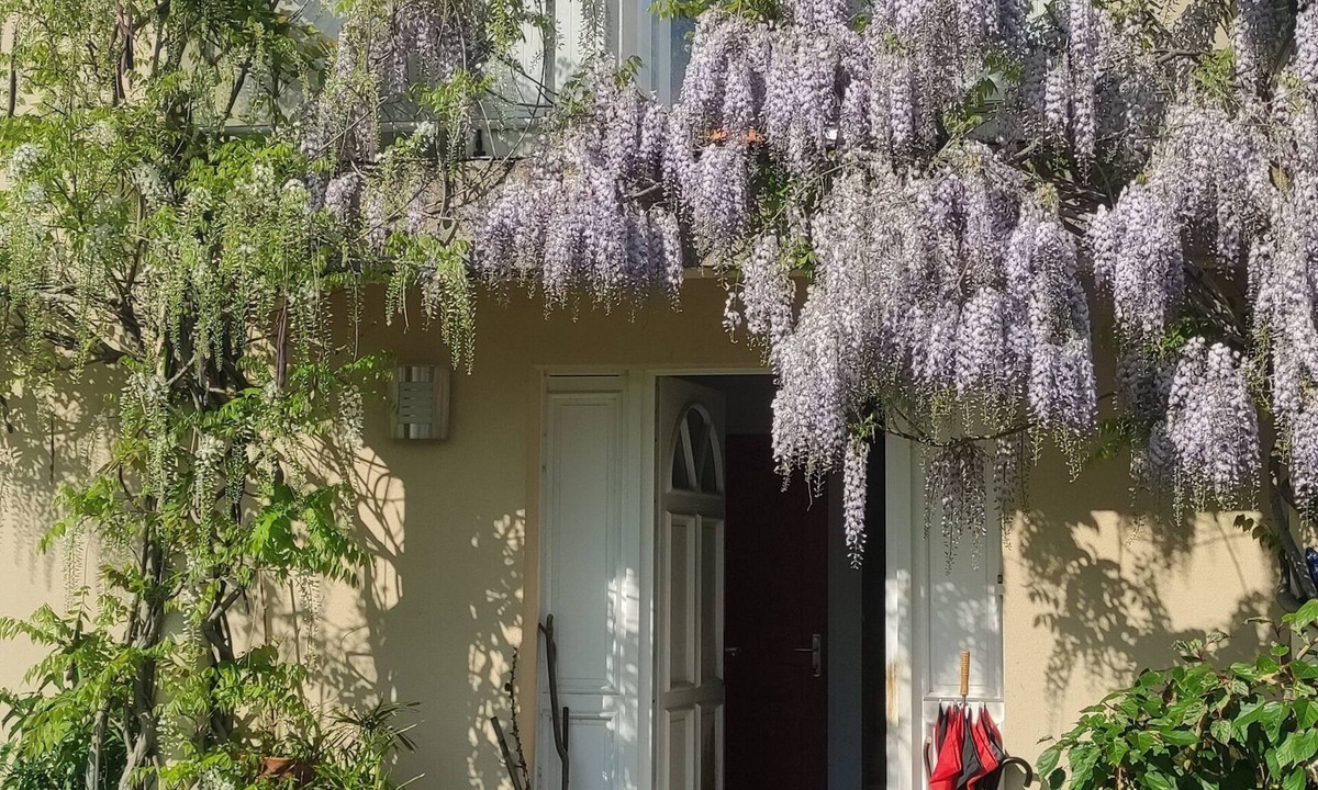 Belbeuf Bed & Breakfast | Bed and breakfast.