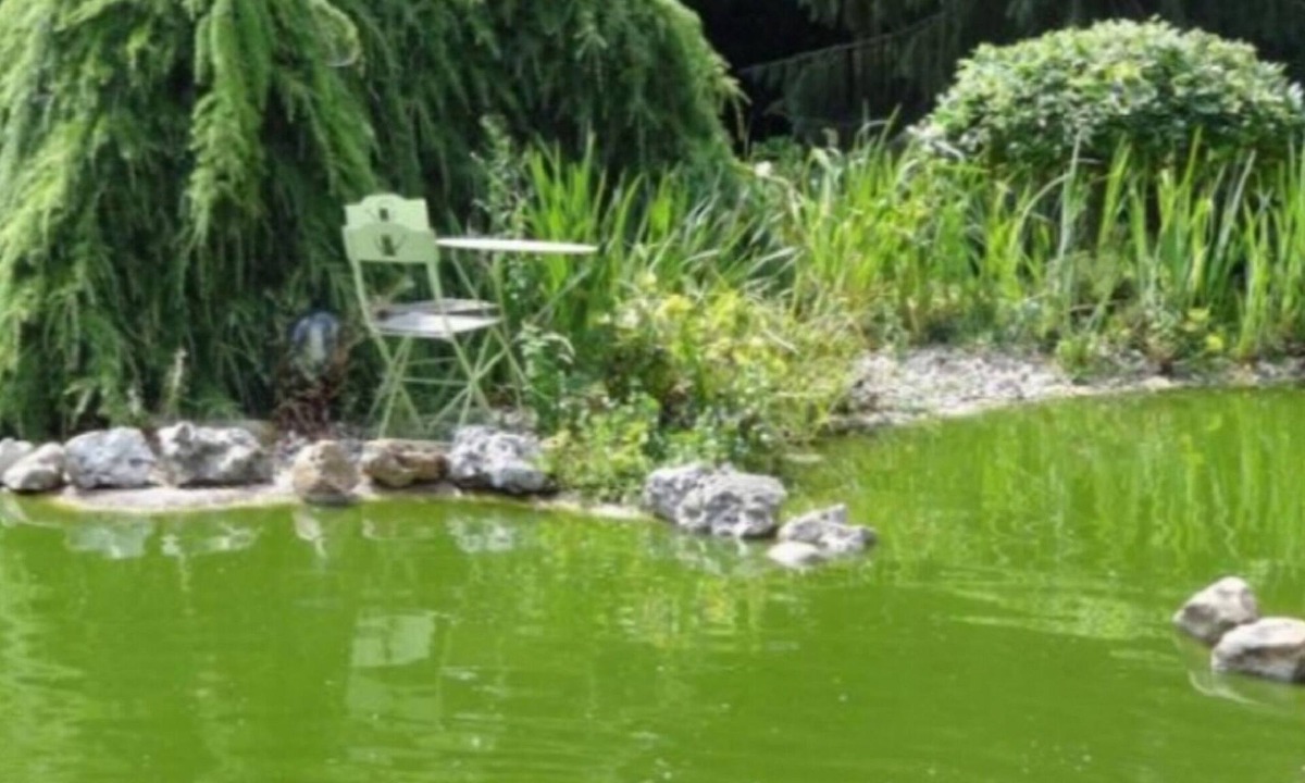 Daubeuf-pres-Vatteville House | bed and breakfast house on the water