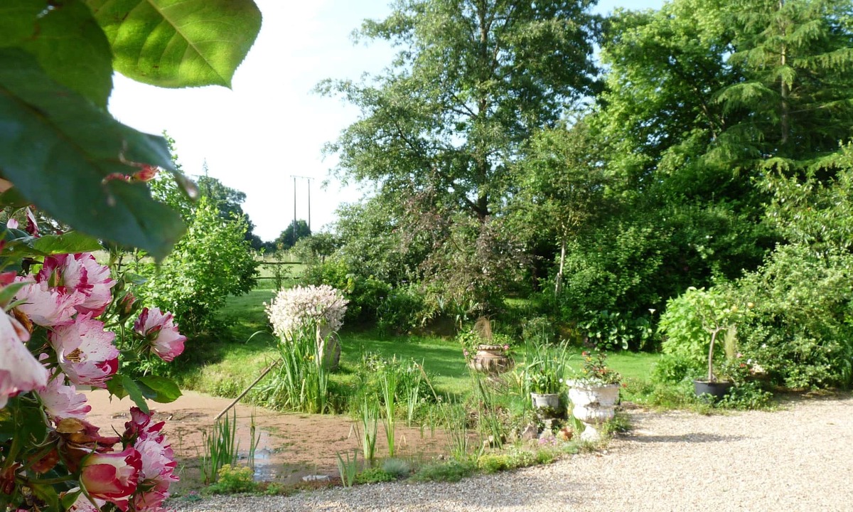 Dissay-sous-Courcillon House | Bed and breakfast abalone