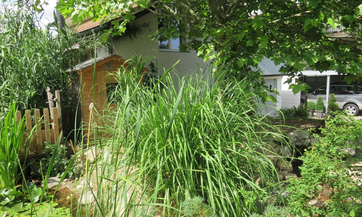 Erlach House | Bed & Breakfast Erlach