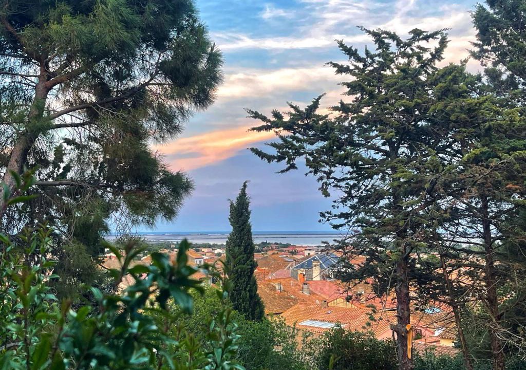 La Palme Bed & Breakfast | Bed & Diner Les Terrasses de La Palme