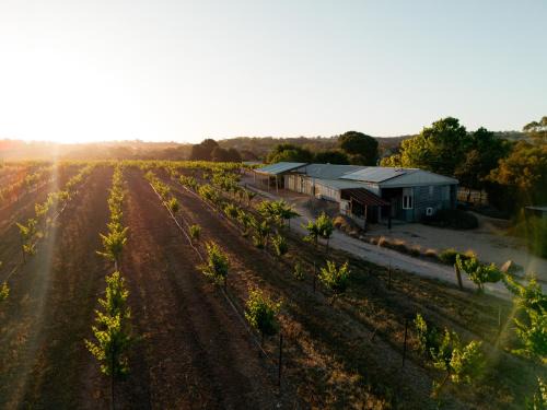 Upper Wakefield Bed & Breakfast | Bed in a Shed Vineyard Stay